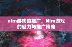 nim游戏的推广，Nim游戏的魅力与推广策略